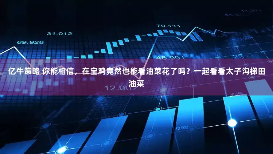 亿牛策略 你能相信，在宝鸡竟然也能看油菜花了吗？一起看看太子沟梯田油菜